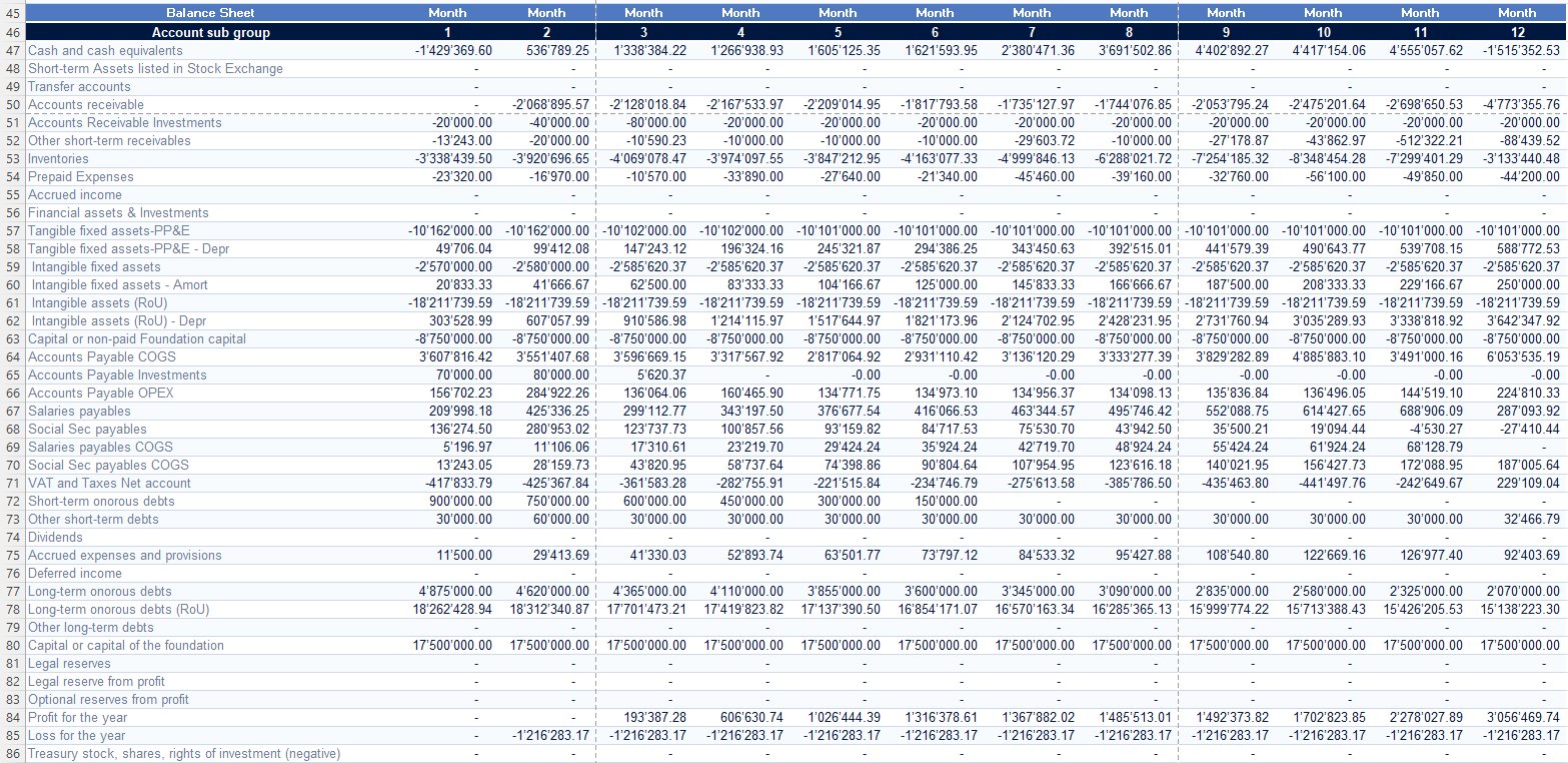 Full 12-month balance sheet with assets, liabilities, and equity