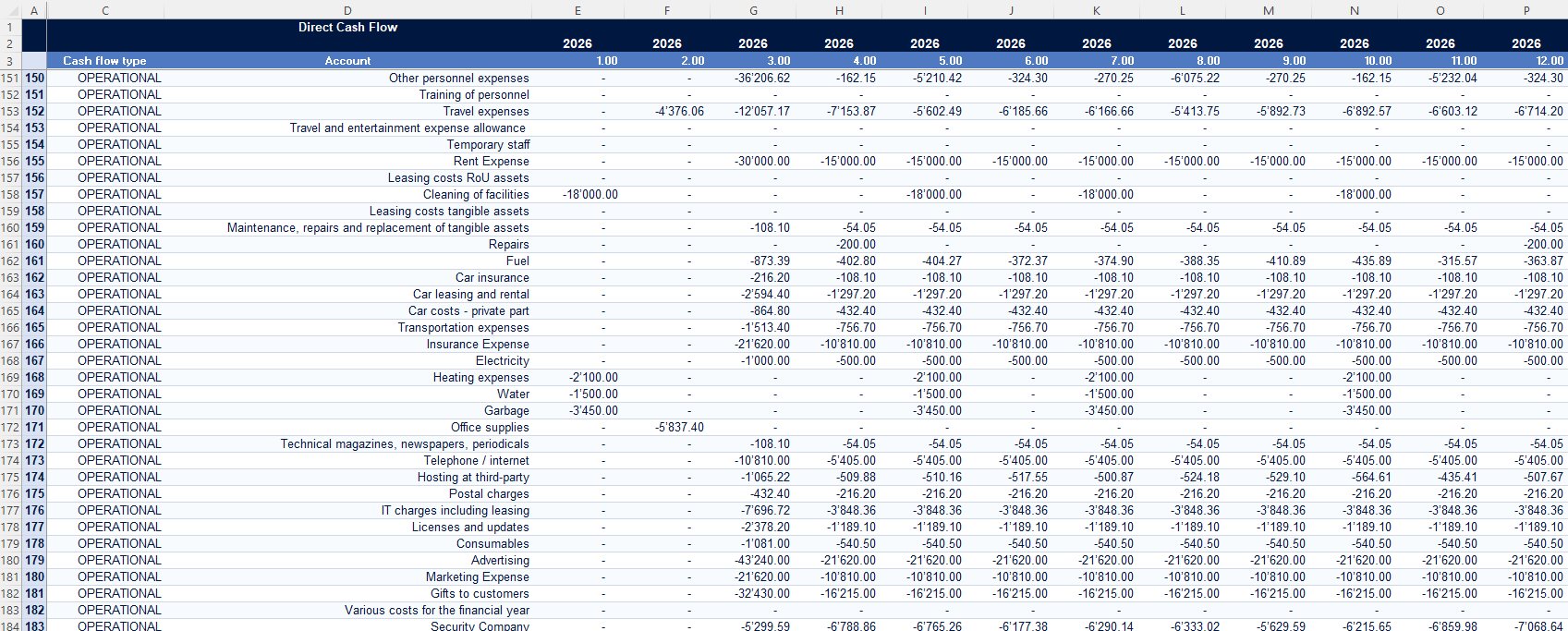Direct Cash Flow statement showing every cash movement by account across 12 months