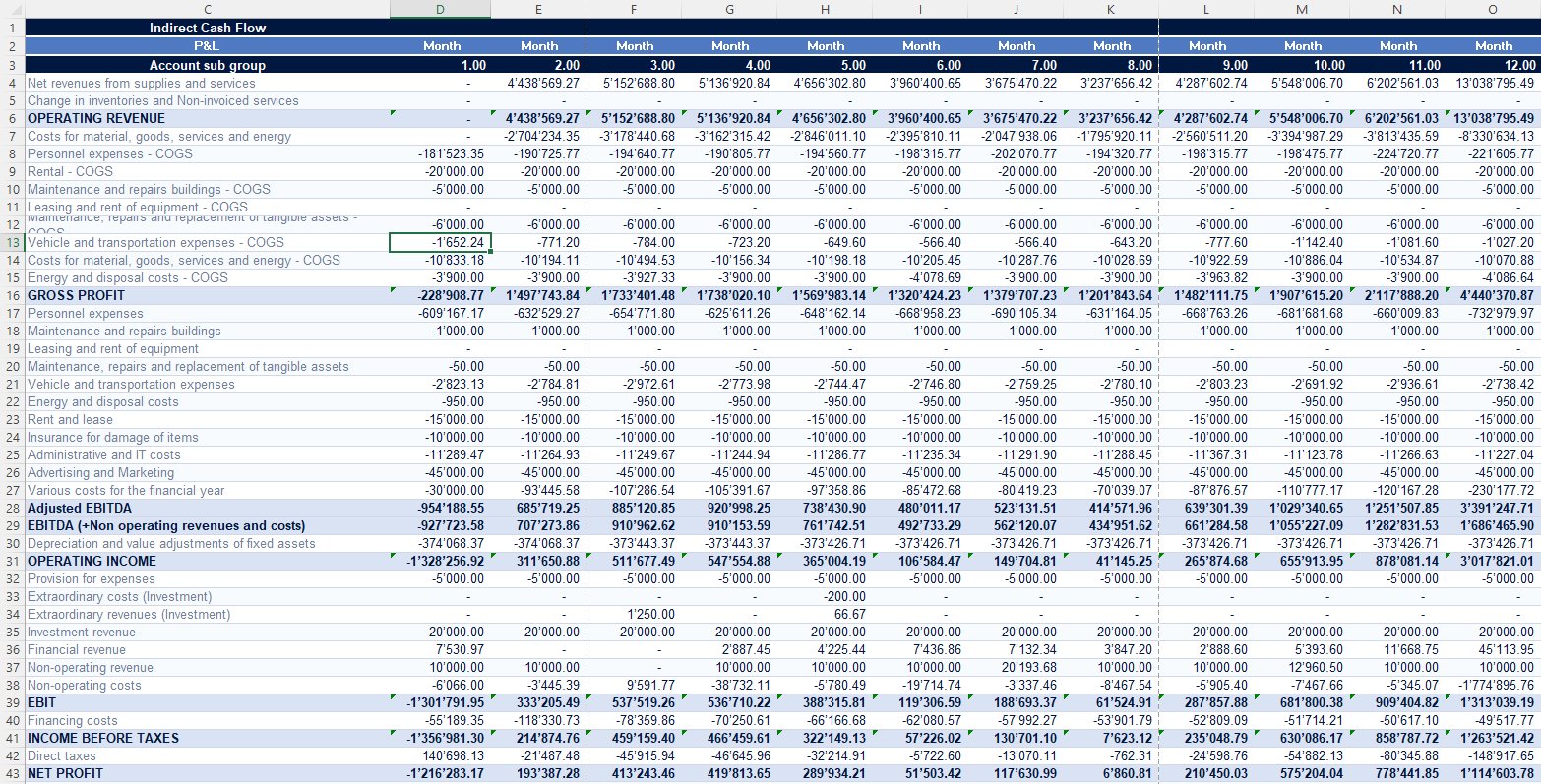 P&L income statement with COGS, OPEX, EBITDA, and Net Profit across 12 months
